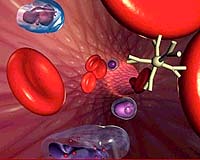 3D pen 'feels' virtual organ images