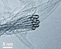 JPL Nanotubes Help Advance Brain Tumor Research