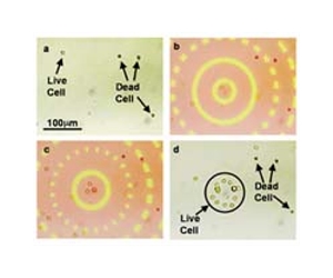 Are electron tweezers possible