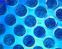 U.S. scientists develop artificial cell