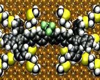 NC State Engineers Provide Insight Into The Dynamics Of Molecular Self-Assembly