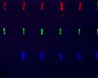 Easy Assembly Of Electronic Biological Chips