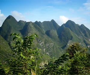 Algae And Bacteria Hogged Oxygen After Ancient Mass Extinction