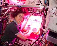 NASA Testing Method to Grow Bigger Plants in Space