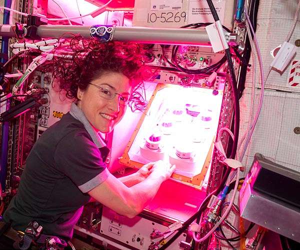 NASA astronaut Christina Hammock Koch to become first woman to orbit the moon