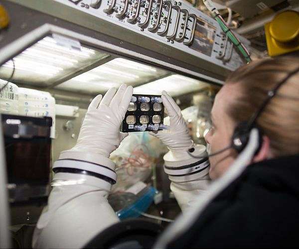 Mount Sinai bioengineers send cardiac muscle samples into space to study heart cell biology in microgravity