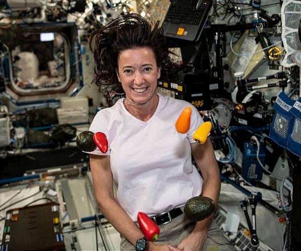 NASA Offers $1 Million for Innovative Systems to Feed Tomorrow's Astronauts