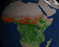 African forest fires in spotlight after Amazon outcry