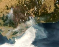 Police hunt arsonists amid deadly Australian wildfires