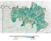 NASA satellites help forecast Yellowstone wildlife migration