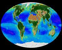 UNM, USF scientists find stable sea levels during last interglacial