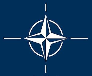 Miscalculation: NATO not yet ready for cooperation with CSTO