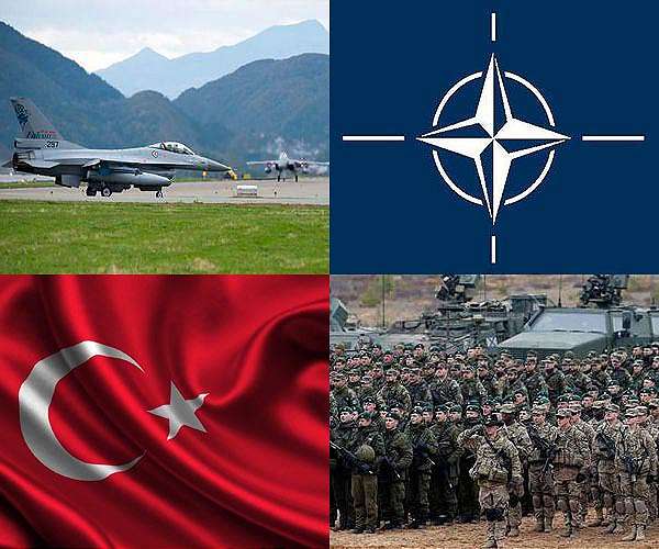 Turkey becomes last NATO nation to ratify Finland membership