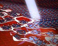 Next-generation optics in just two minutes of cooking time