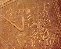 Heavy rains alter Peru's famed Nazca Lines