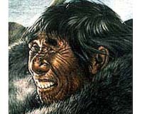 Neanderthal genetic code revealed