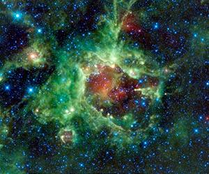 Elephant Trunks In Space