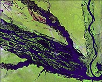 City in Brazil's Amazon faces worst floods in 56 years