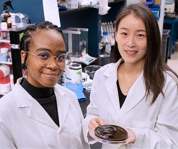 Solar-powered gel filters enough clean water to meet daily needs