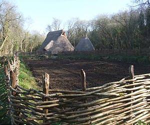 Study: Ancient Neolithic farmers used sophisticated growing techniques