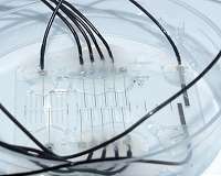 Nerve-on-a-chip platform makes neuroprosthetics more effective