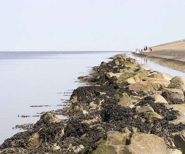 Dutch flood memories unleash new climate fears