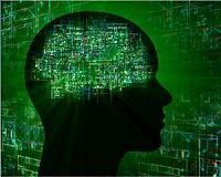 Bridging the Bio-Electronic Divide
