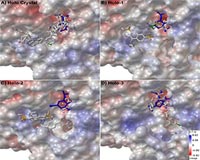 Researchers Identify Potential Drug Candidates To Combat Bird Flu