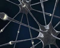 Physicists build 'electronic synapses' for neural networks