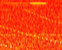 First Pulsar Detection With LOFAR Station