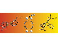 Non-metal catalyst splits hydrogen molecule