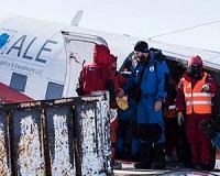 New arrivals in Antarctica