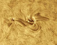 The Sun Shows Signs Of Life