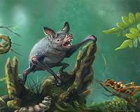 Giant extinct burrowing bat discovered in New Zealand