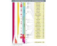 Next Generation TimeTree