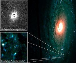 Las Cumbres Capabilities Identify First Progenitor Of A Stripped-Envelope Supernova