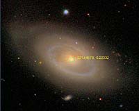 Quasars Quash Star Formation In Active Galactic Nuclei