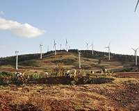 Saudi Arabia shortlists 25 bidders for major wind plant