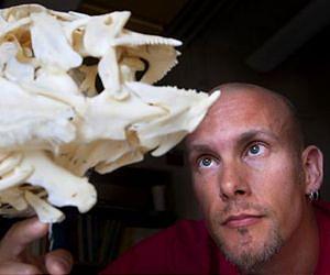 Tongue makes the difference in how fish and mammals chew