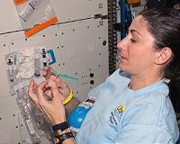 Russian Scientists Develop Liquid Test System for ISS