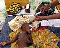Rising prices could force UN to cut food aid: WFP chief