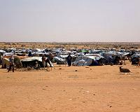 New global report on food crisis