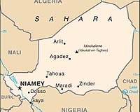 Niger's vanishing forests: last hope to keep desert at bay
