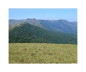Stable temperatures boost biodiversity in tropical mountains