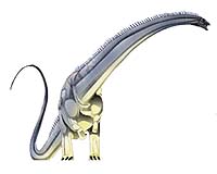 Dinosaur From Sahara Ate Like A Mesozoic Cow