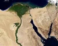 Sinai militants kill and wound seven Egyptian soldiers: army