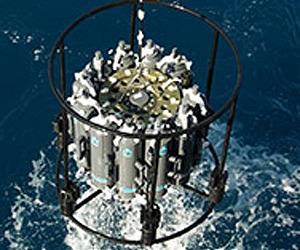 CO2-Chomping Microbes Battling For Ocean Iron