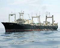 Activists vow to carry on disrupting Japanese whaling