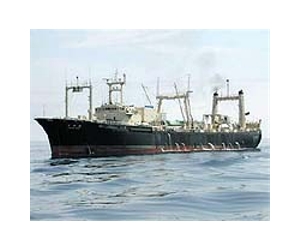 Japan whalers driven from hunting ground: Sea Shepherd