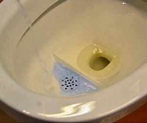 New loo turns poo into power